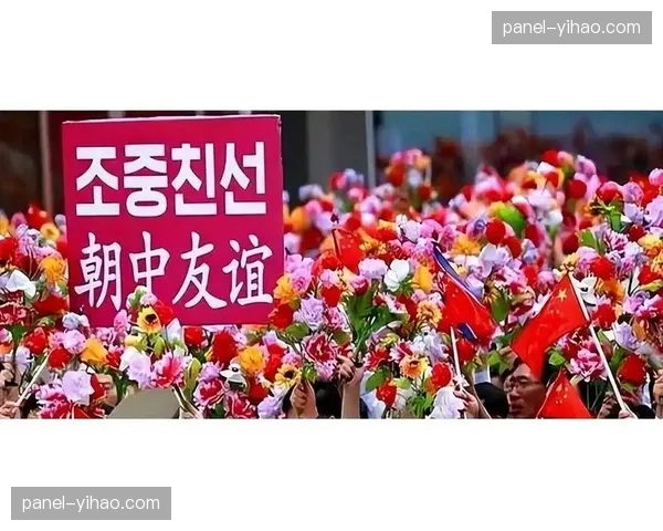 朝鲜体育部门干部和运动员家属到平壤国际机场迎接载誉选手